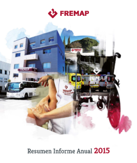 9. Resum Informe Anual 2015.pdf